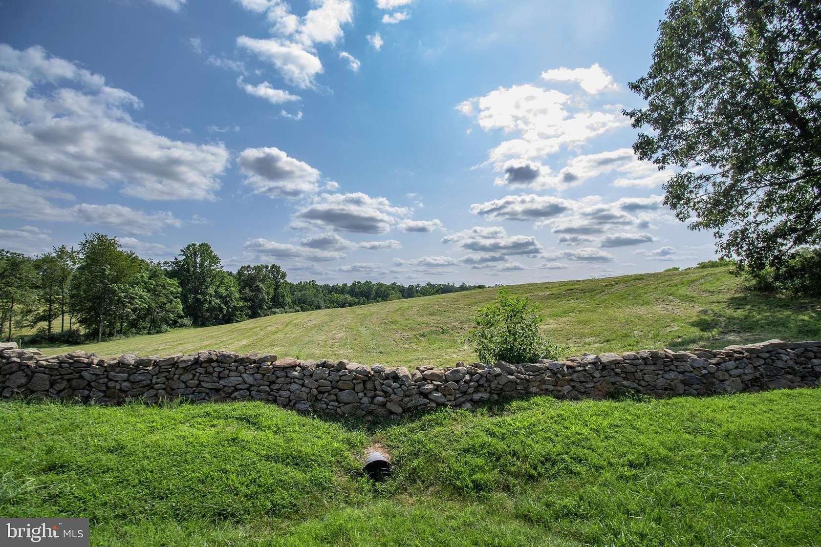 50 Acres of Land for Sale in Marshall, Virginia