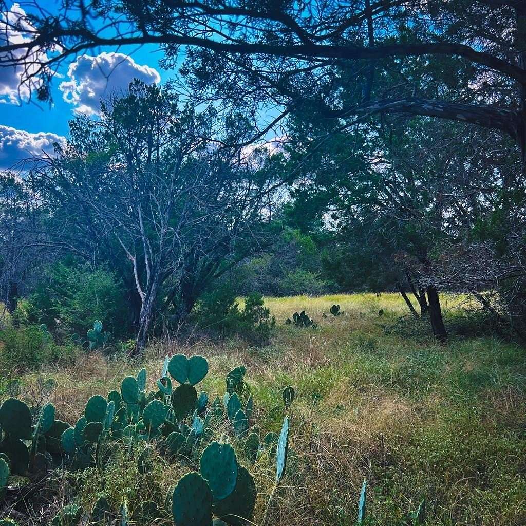 0.18 Acres of Residential Land for Sale in Spring Branch, Texas