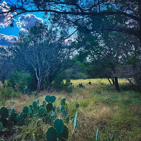 0.18 Acres of Residential Land for Sale in Spring Branch, Texas