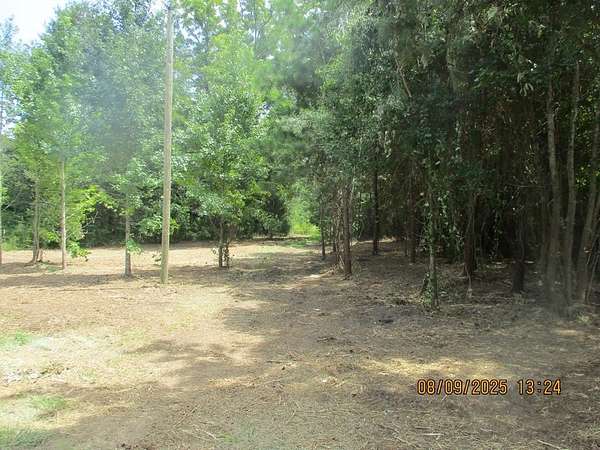 15 Acres of Land for Sale in Pansey, Alabama