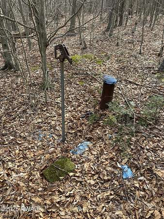 1.37 Acres of Residential Land for Sale in Newfoundland, Pennsylvania