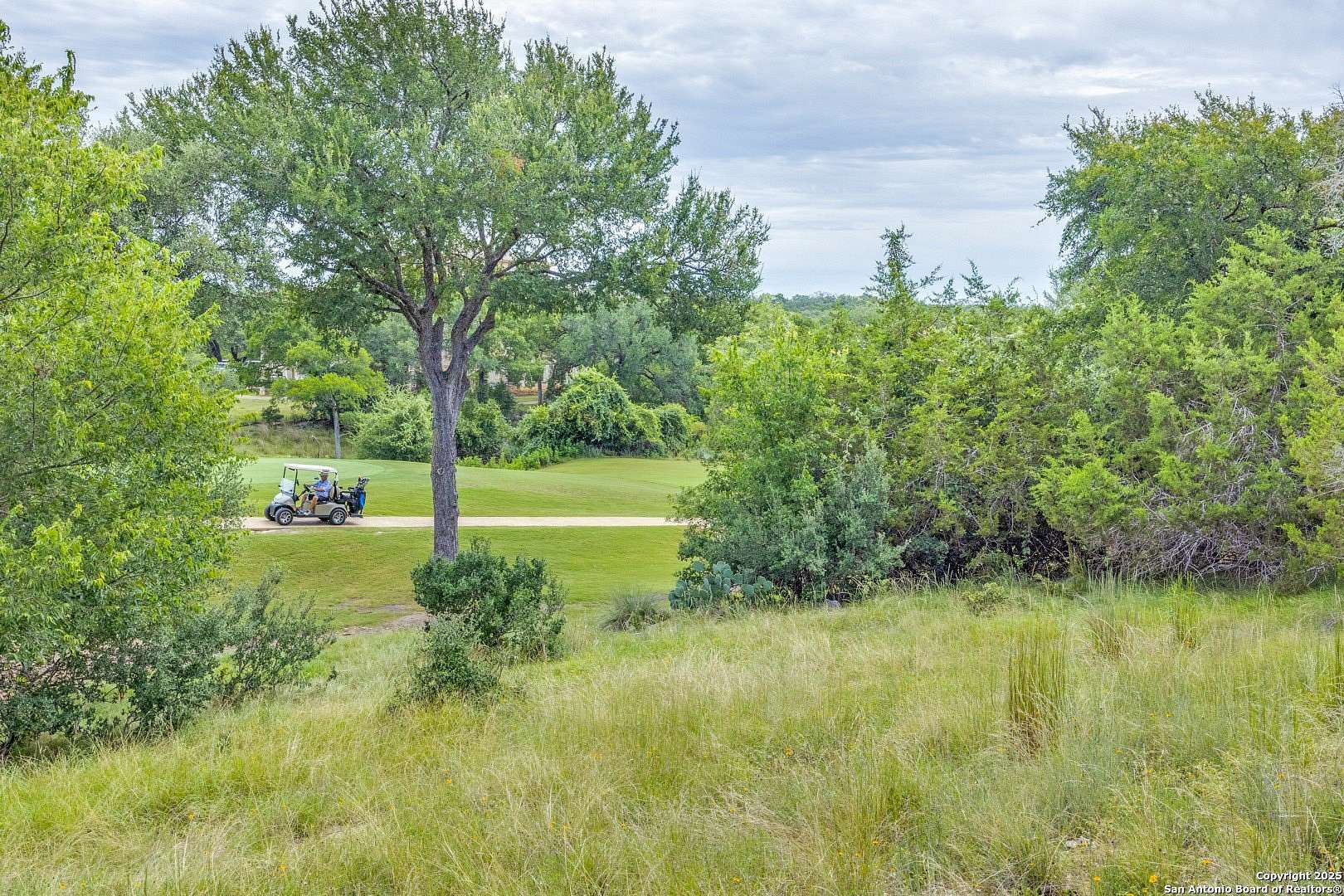 0.29 Acres of Residential Land for Sale in Blanco, Texas