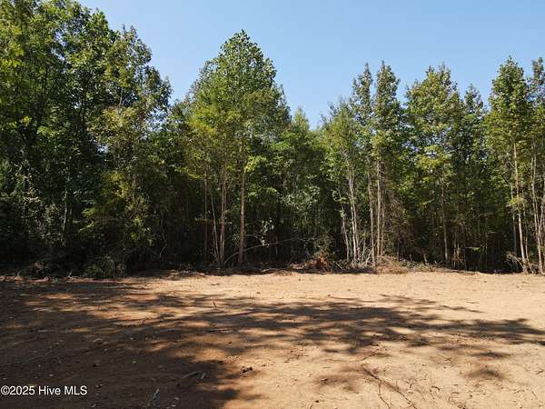 25 Acres of Recreational & Residential Land for Sale in Louisburg, North Carolina