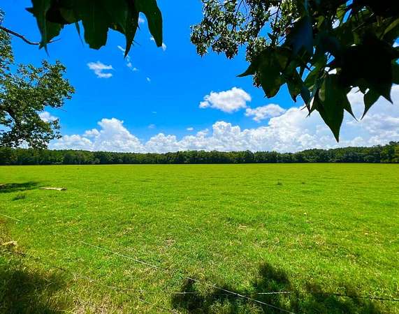 405 Acres of Land for Auction in New Brockton, Alabama