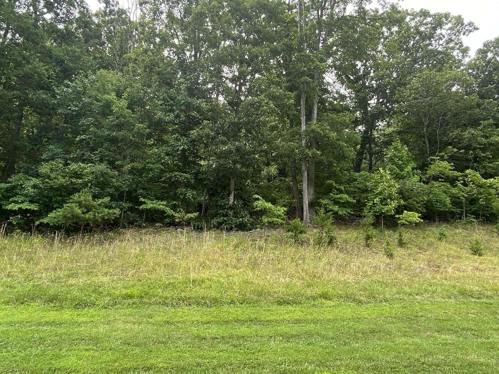 0.71 Acres of Residential Land for Sale in Rocky Mount, Virginia