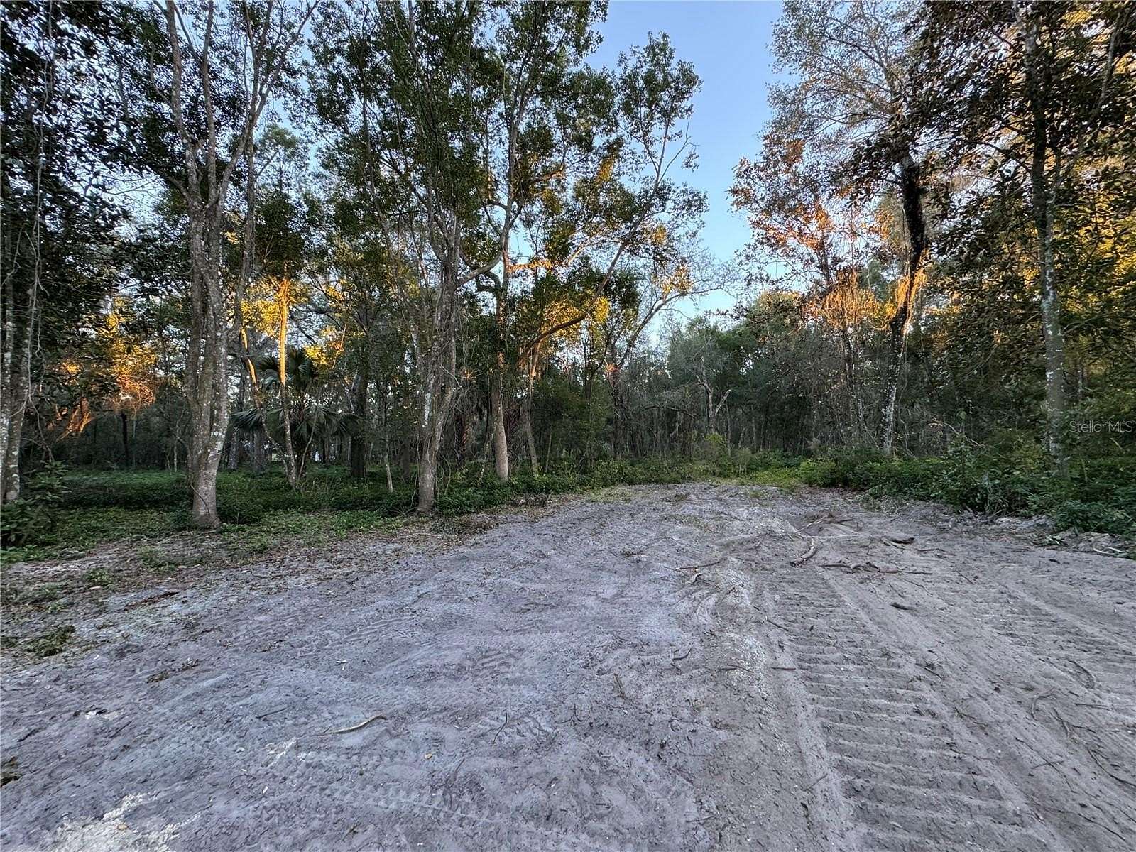 6 Acres of Residential Land for Sale in Lake Helen, Florida