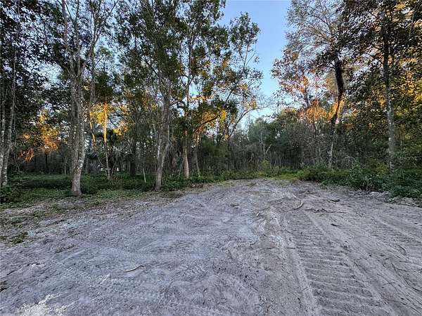 6 Acres of Residential Land for Sale in Lake Helen, Florida