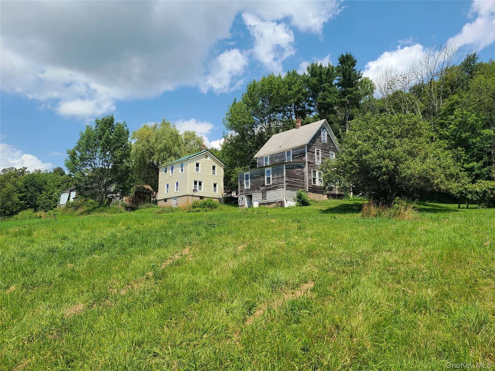 23.4 Acres of Agricultural Land with Home for Sale in Livingston Manor, New York