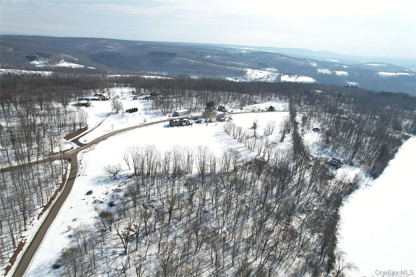 23.4 Acres of Agricultural Land with Home for Sale in Livingston Manor, New York