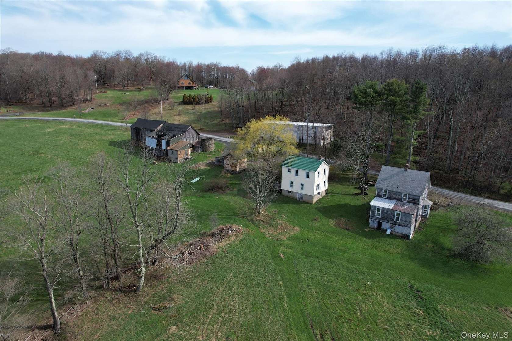23.4 Acres of Agricultural Land with Home for Sale in Livingston Manor, New York