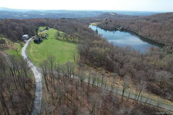 23.4 Acres of Agricultural Land with Home for Sale in Livingston Manor, New York