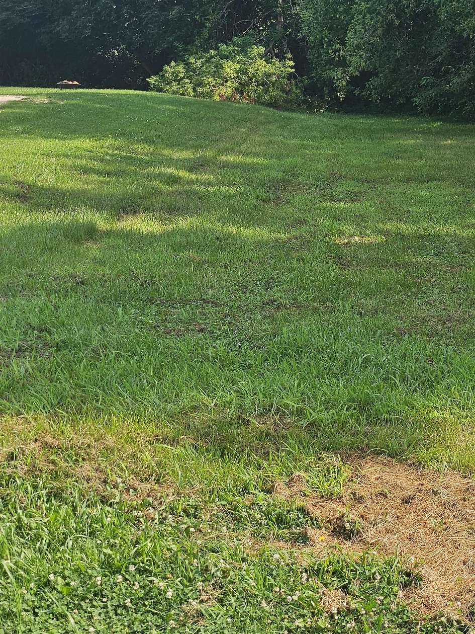 0.36 Acres of Residential Land for Sale in Lake Summerset, Illinois