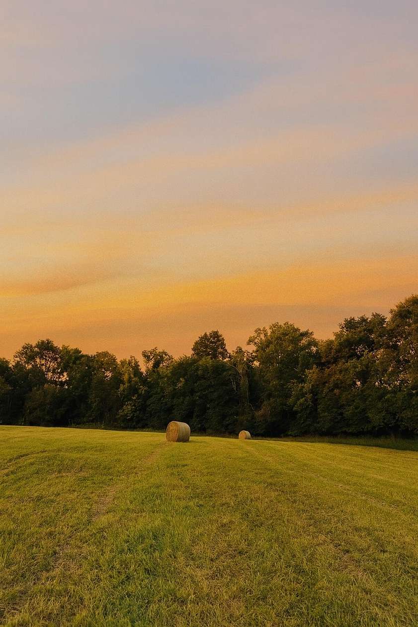 12.7 Acres of Land for Sale in Willisburg, Kentucky