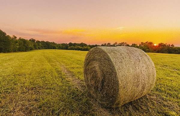 14 Acres of Land for Sale in Willisburg, Kentucky