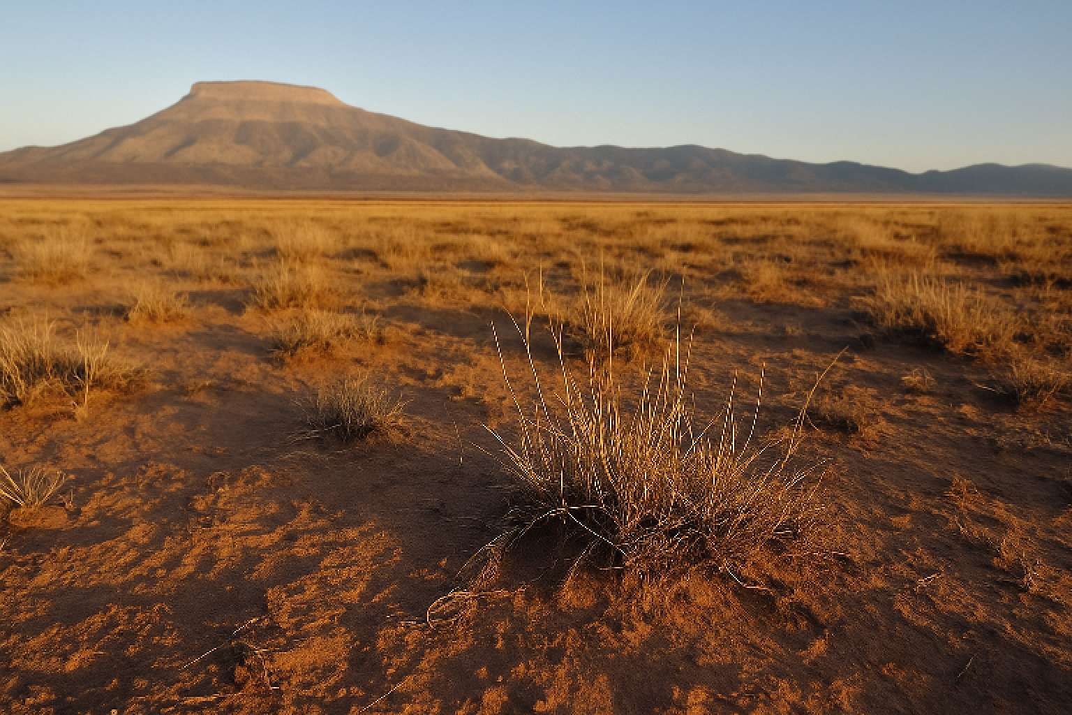 0.25 Acres of Residential Land for Sale in Rio del Oro, New Mexico