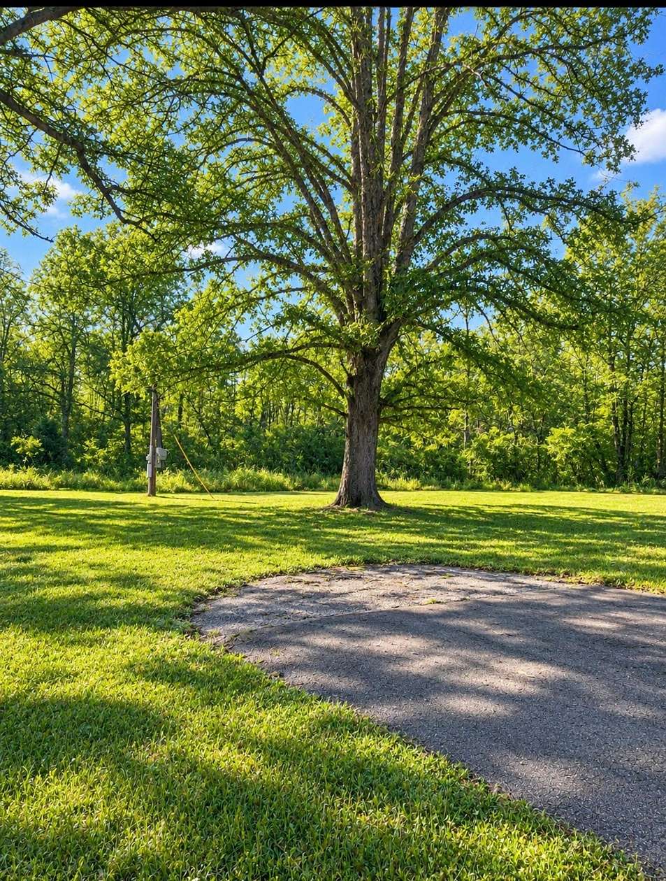2.3 Acres of Residential Land for Sale in McMinnville, Tennessee
