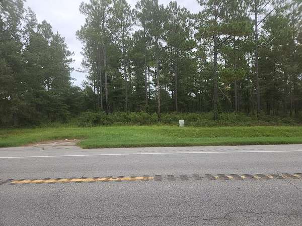 41 Acres of Land for Sale in Camilla, Georgia