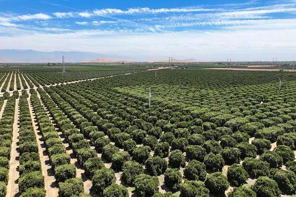 70 Acres of Agricultural Land for Sale in Visalia, California