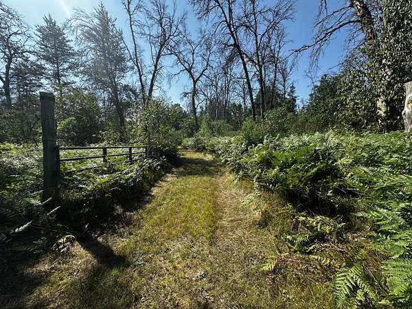 3.46 Acres of Residential Land for Sale in Irons, Michigan