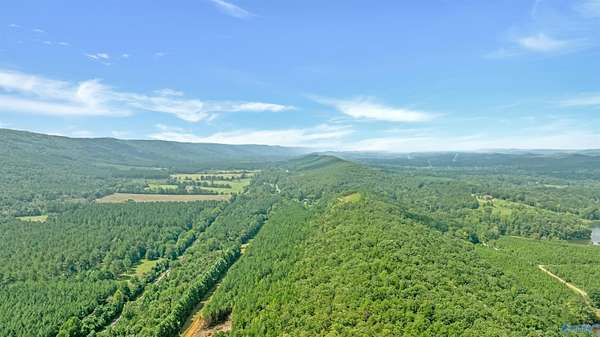74 Acres of Recreational Land for Sale in Valley Head, Alabama