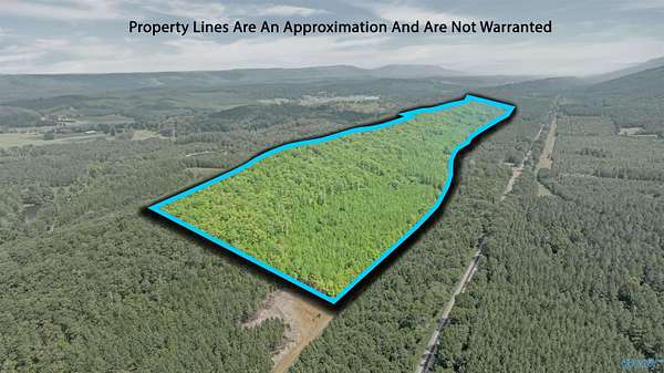 74 Acres of Recreational Land for Sale in Valley Head, Alabama