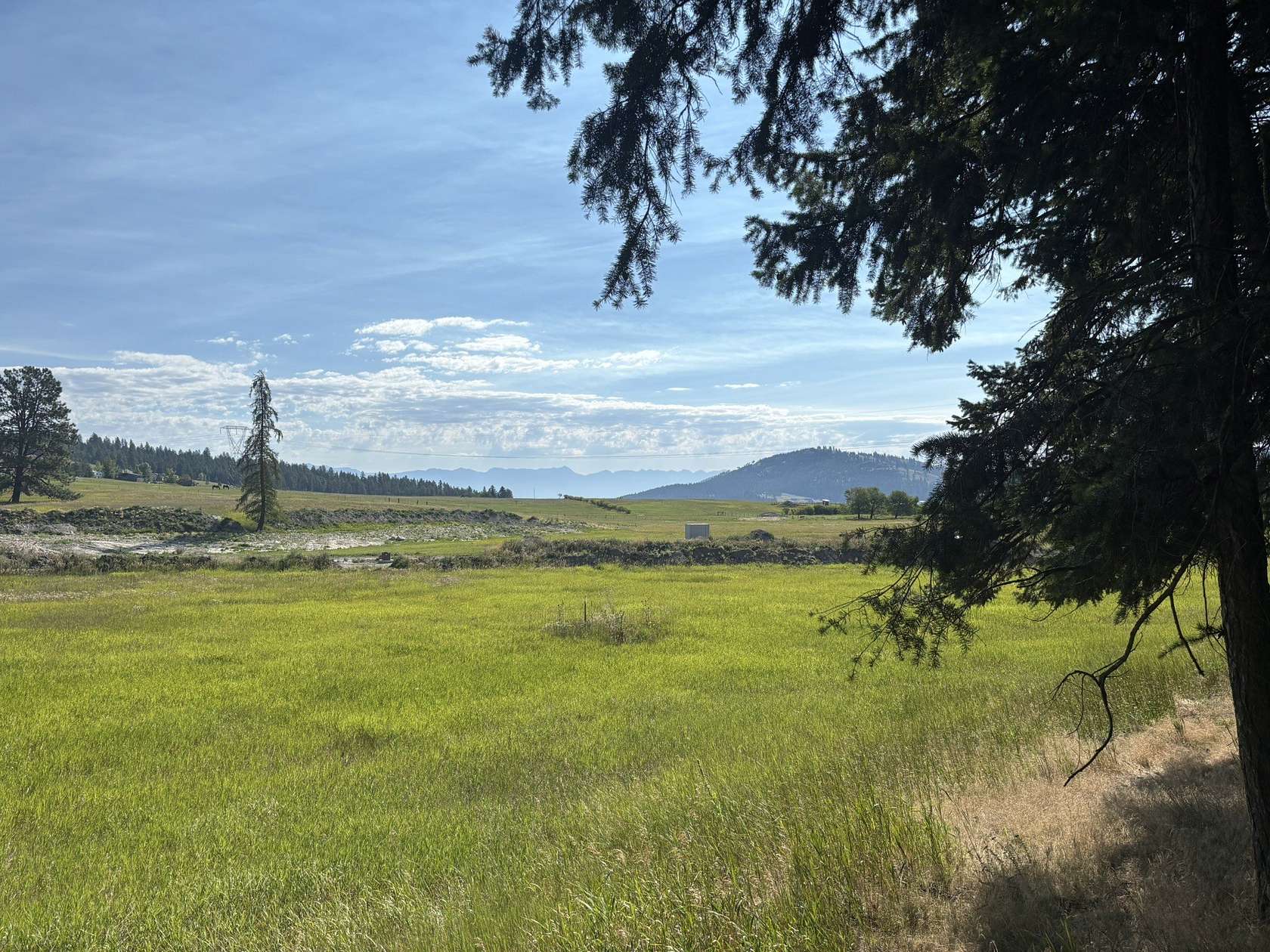 5.23 Acres of Residential Land for Sale in Kalispell, Montana
