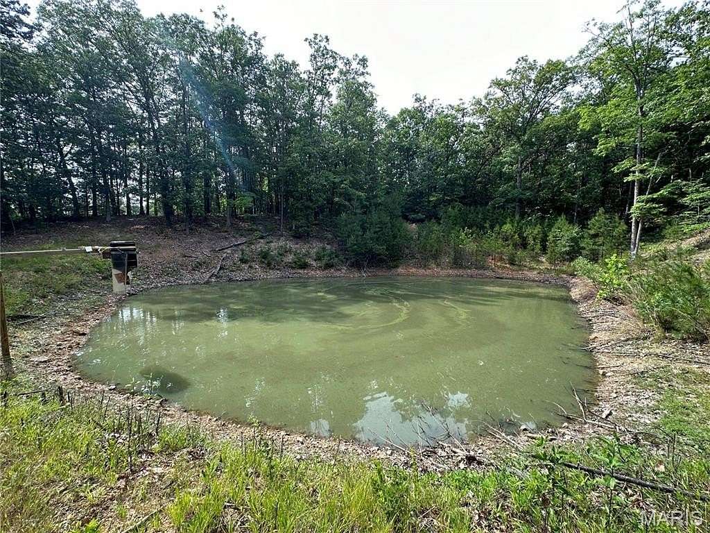 23.8 Acres of Recreational Land & Farm for Sale in Potosi, Missouri