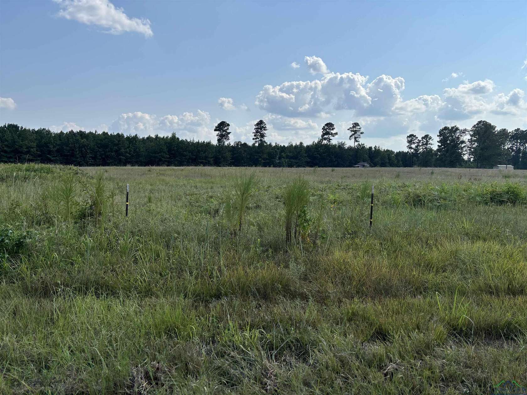 6.62 Acres of Land for Sale in Jefferson, Texas