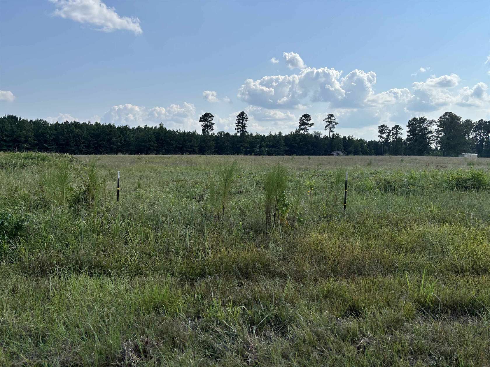 6.62 Acres of Land for Sale in Jefferson, Texas