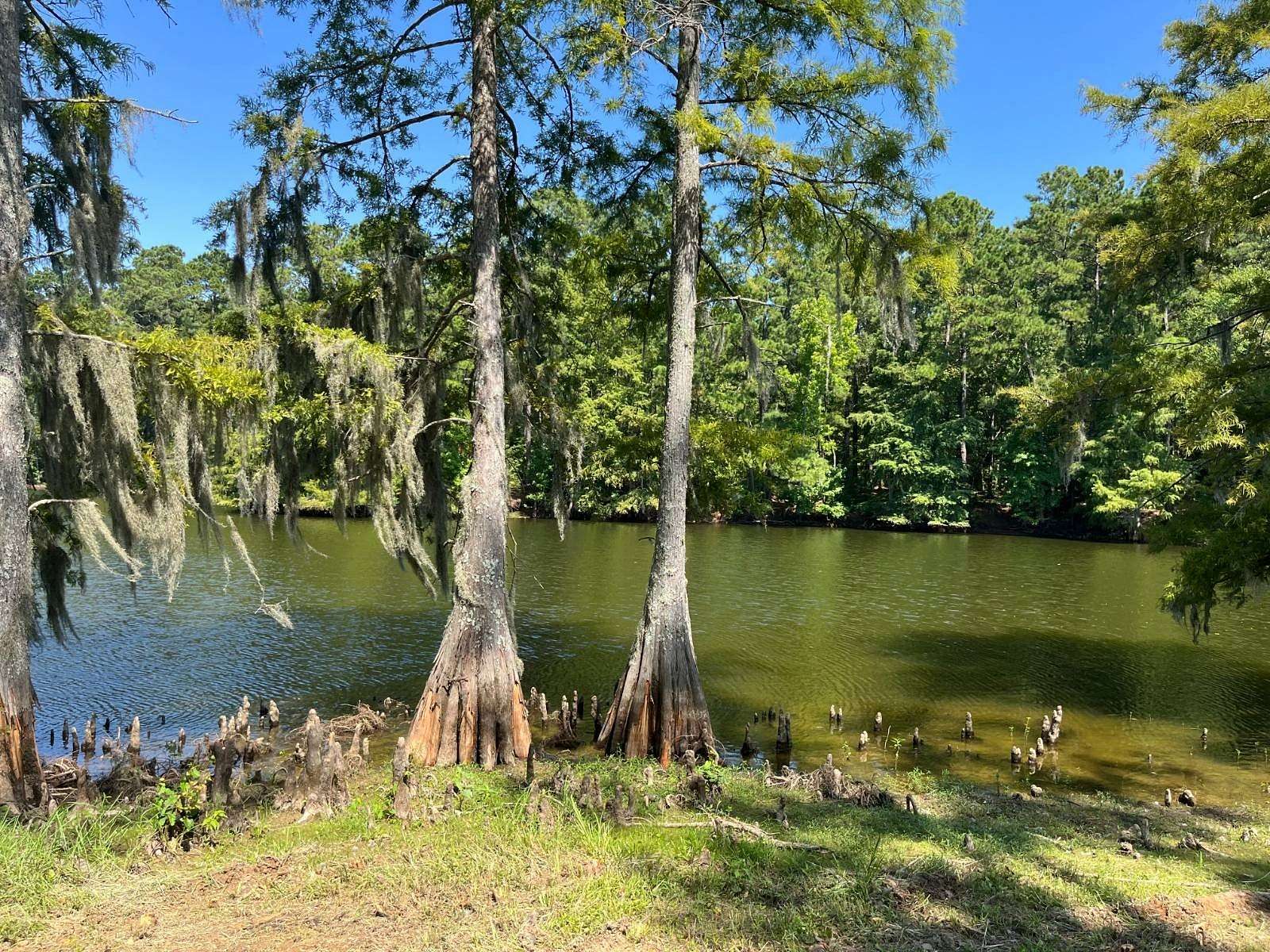 1.58 Acres of Residential Land for Sale in Many, Louisiana