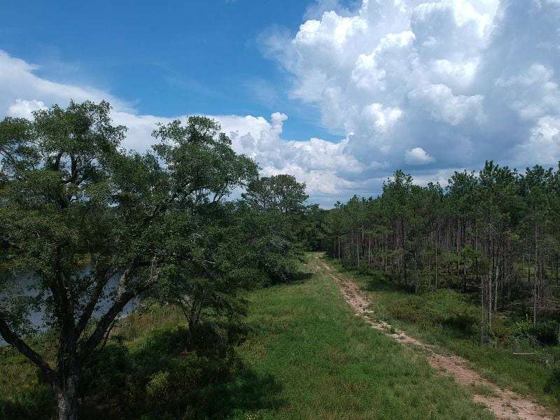 131 Acres of Recreational Land for Sale in Edison, Georgia