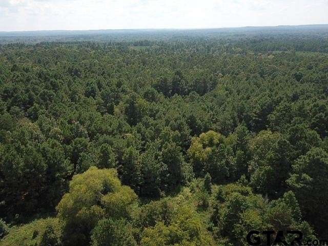 16.3 Acres of Recreational & Residential Land for Sale in Rusk, Texas