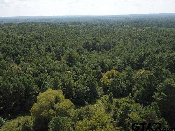 16.3 Acres of Recreational & Residential Land for Sale in Rusk, Texas