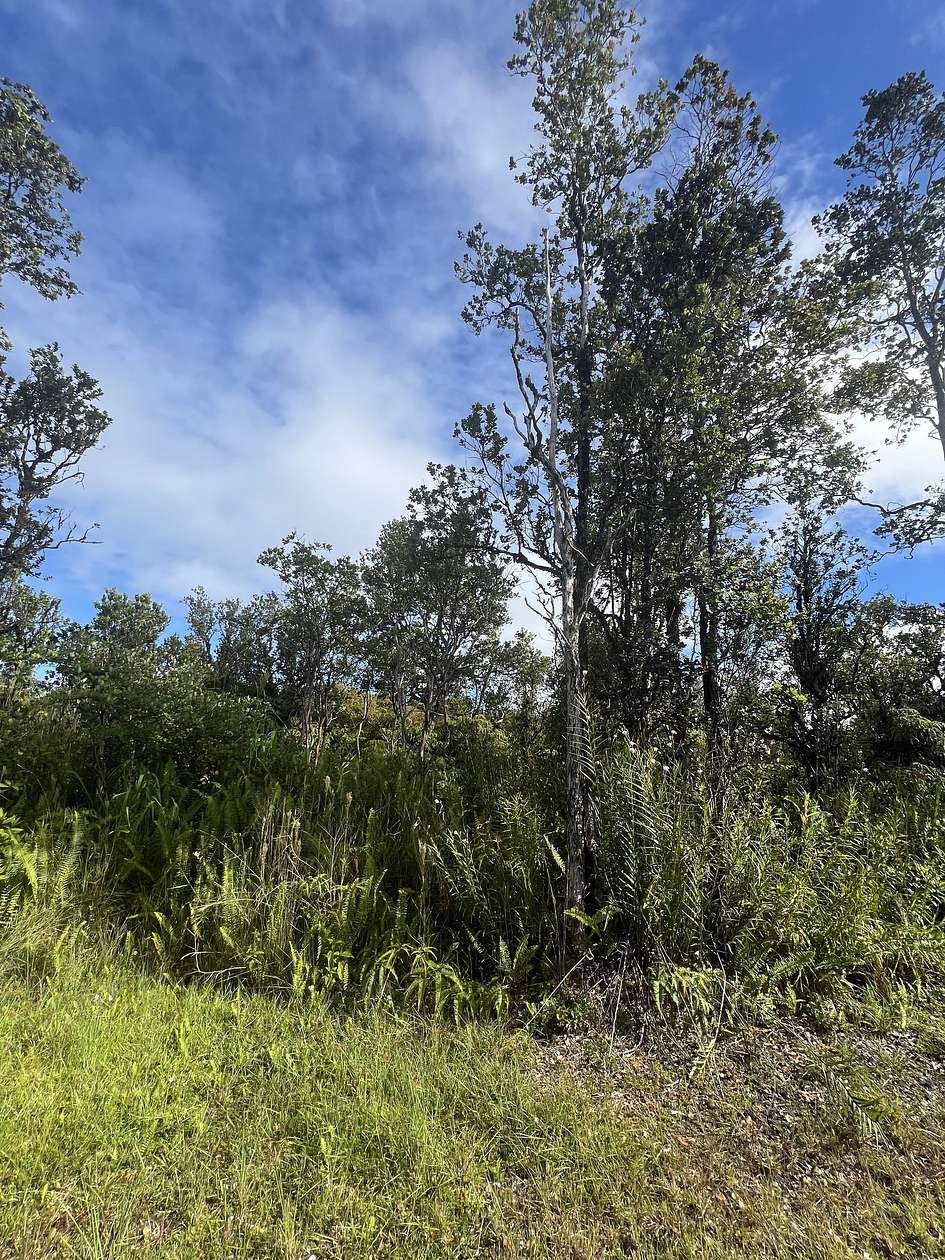 1 Acre of Land for Sale in Mountain View, Hawaii