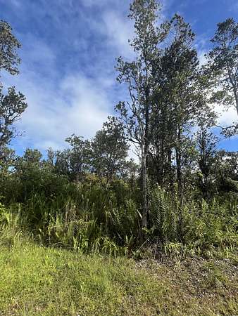 1 Acre of Land for Sale in Mountain View, Hawaii