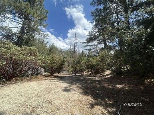 0.22 Acres of Residential Land for Sale in Idyllwild, California