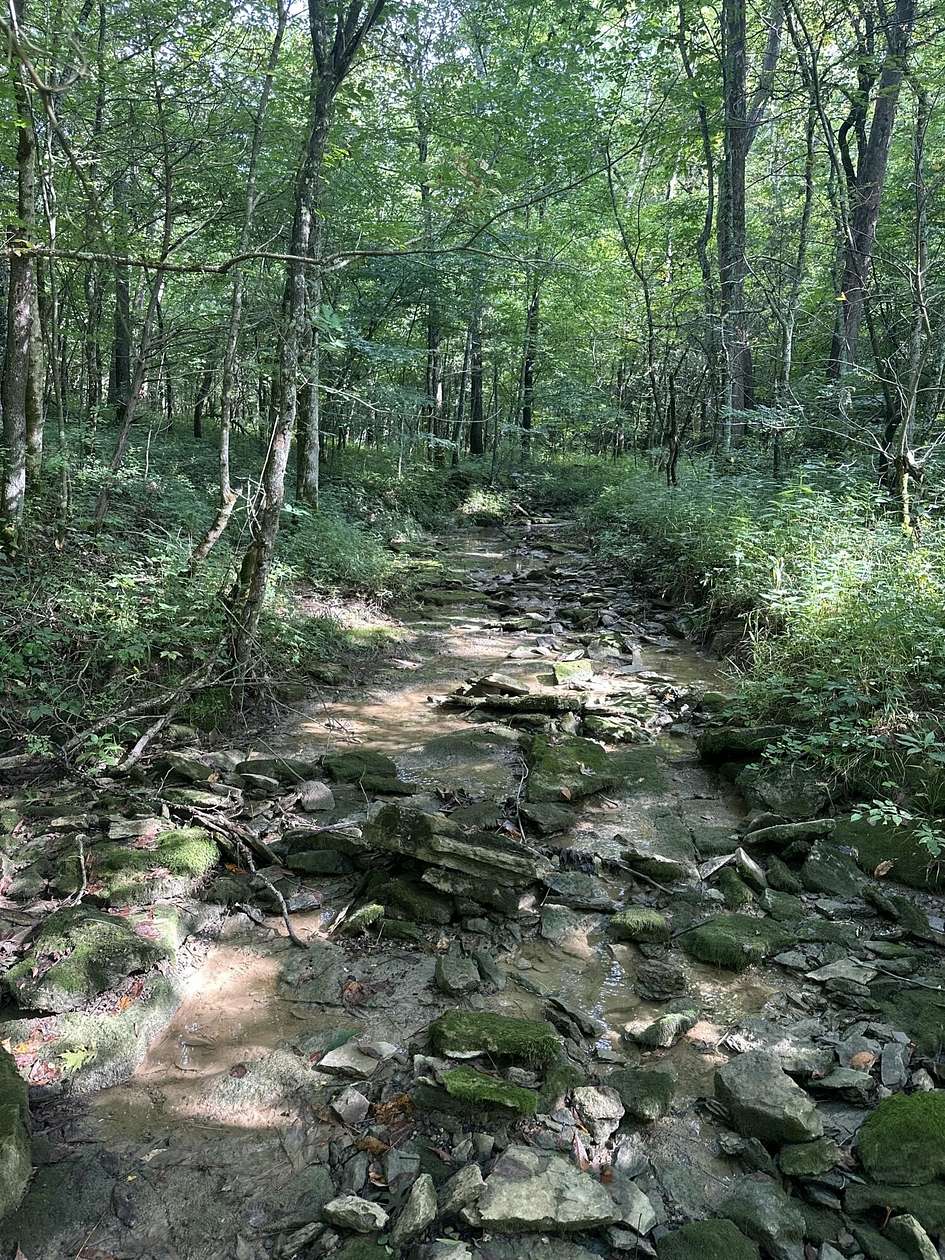 14.5 Acres of Recreational Land for Sale in Cynthiana, Kentucky