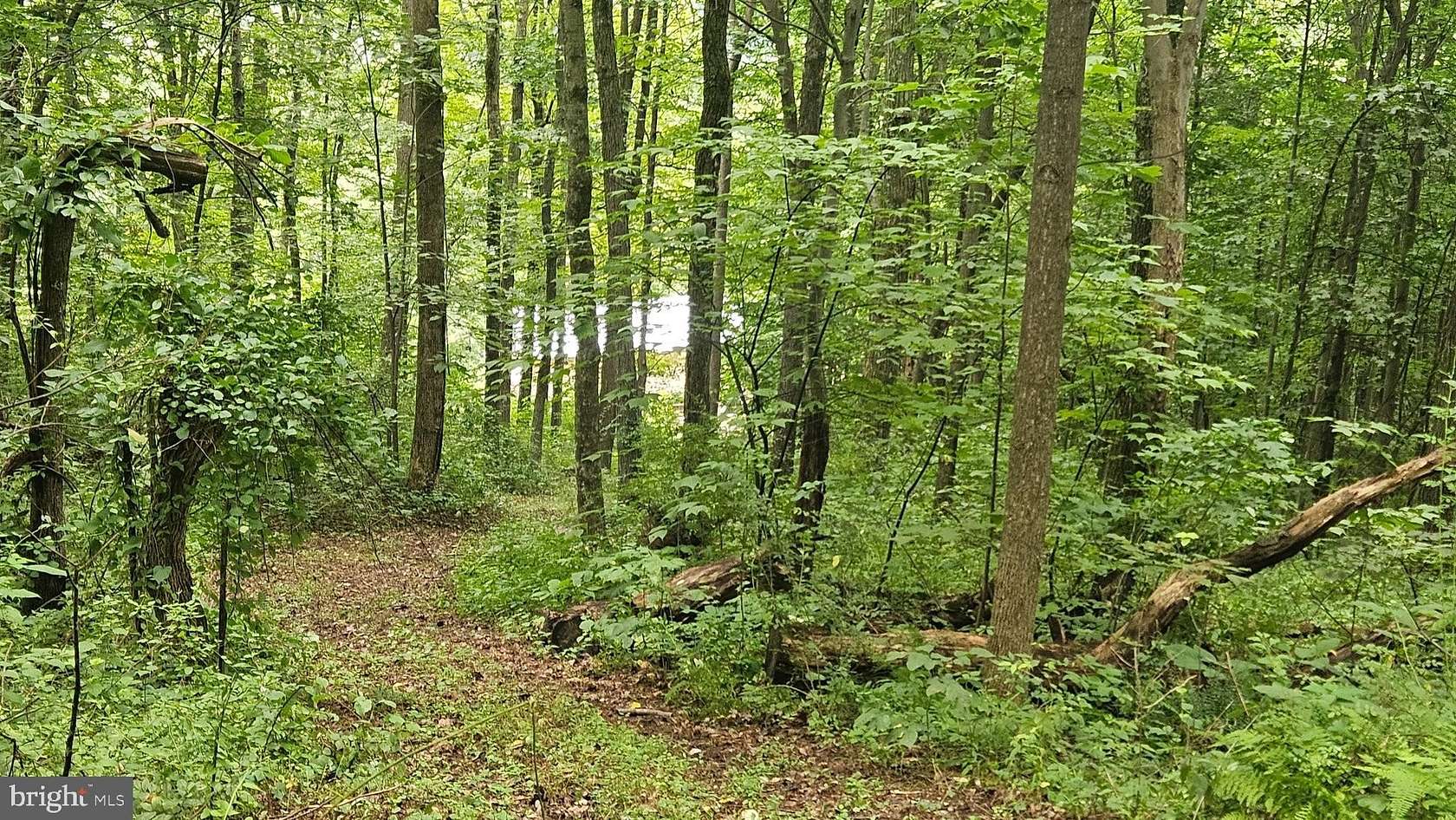 150 Acres of Recreational Land for Sale in Everett, Pennsylvania