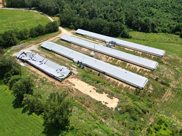 41 Acres of Land with Home for Sale in Hamilton, Alabama