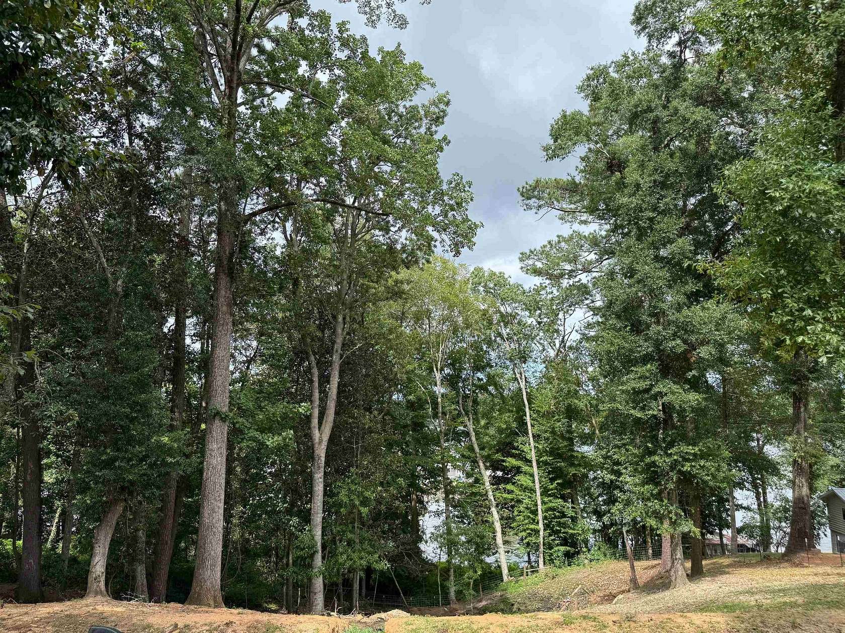 0.8 Acres of Land for Sale in Andalusia, Alabama