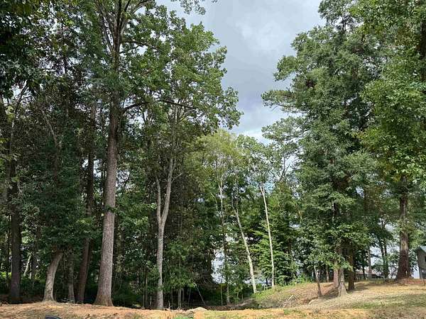 0.8 Acres of Land for Sale in Andalusia, Alabama