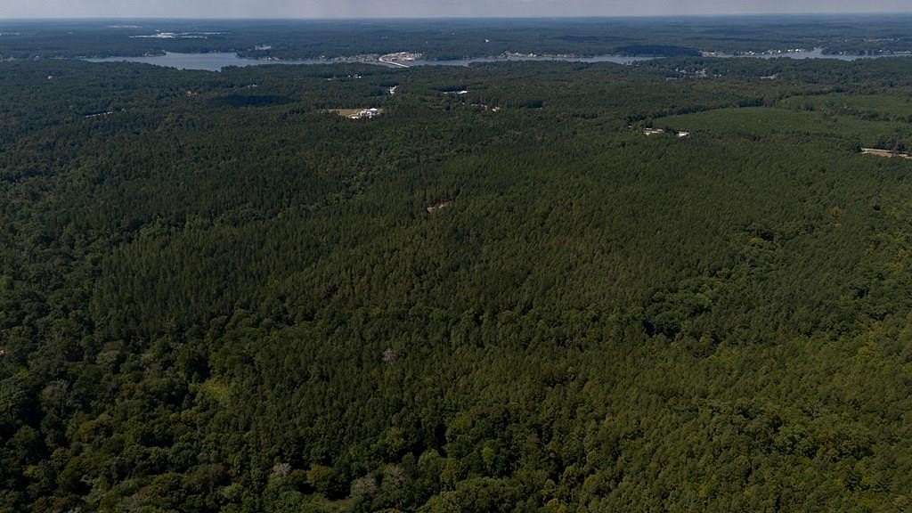 175 Acres of Recreational Land for Sale in Waterloo, South Carolina