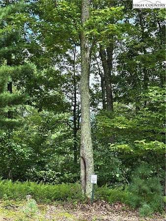 0.7 Acres of Land for Sale in Boone, North Carolina