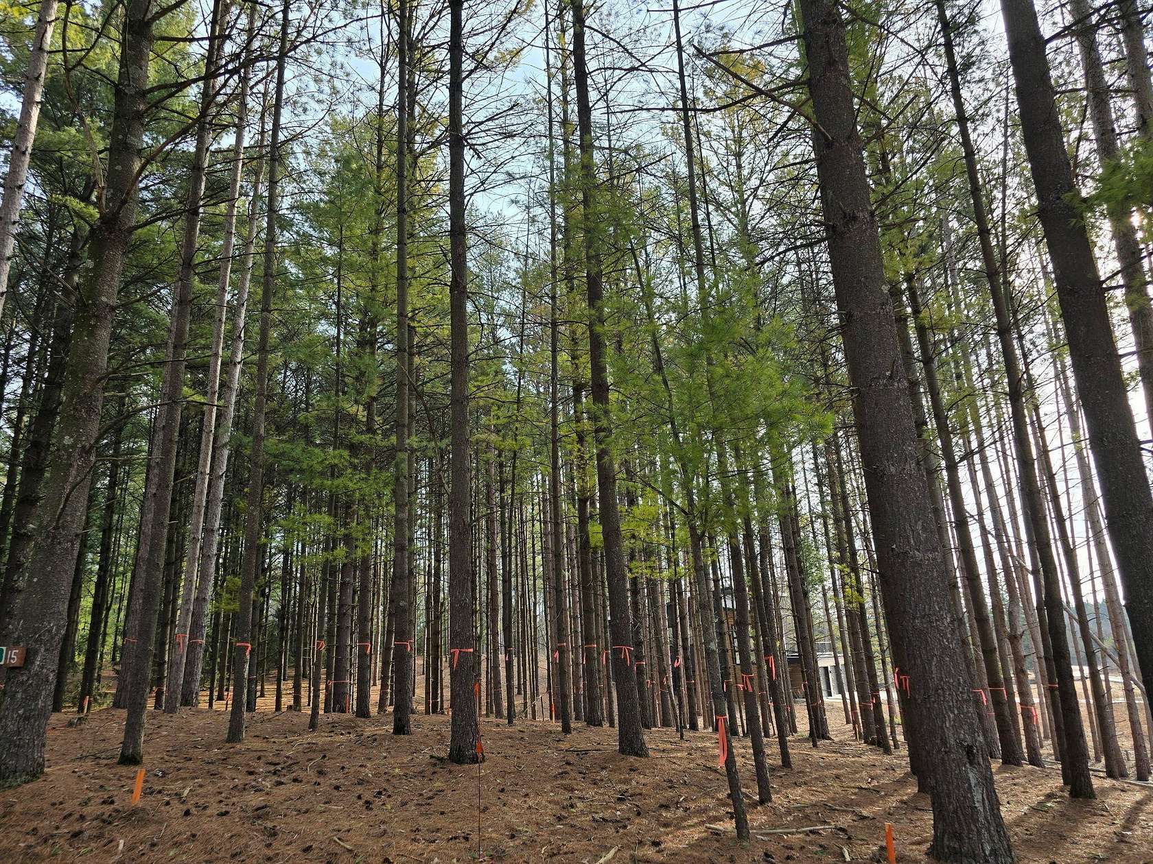 0.7 Acres of Residential Land for Sale in West Bend, Wisconsin