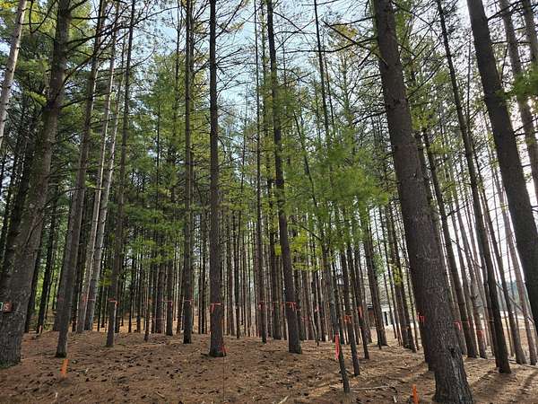 0.7 Acres of Residential Land for Sale in West Bend, Wisconsin