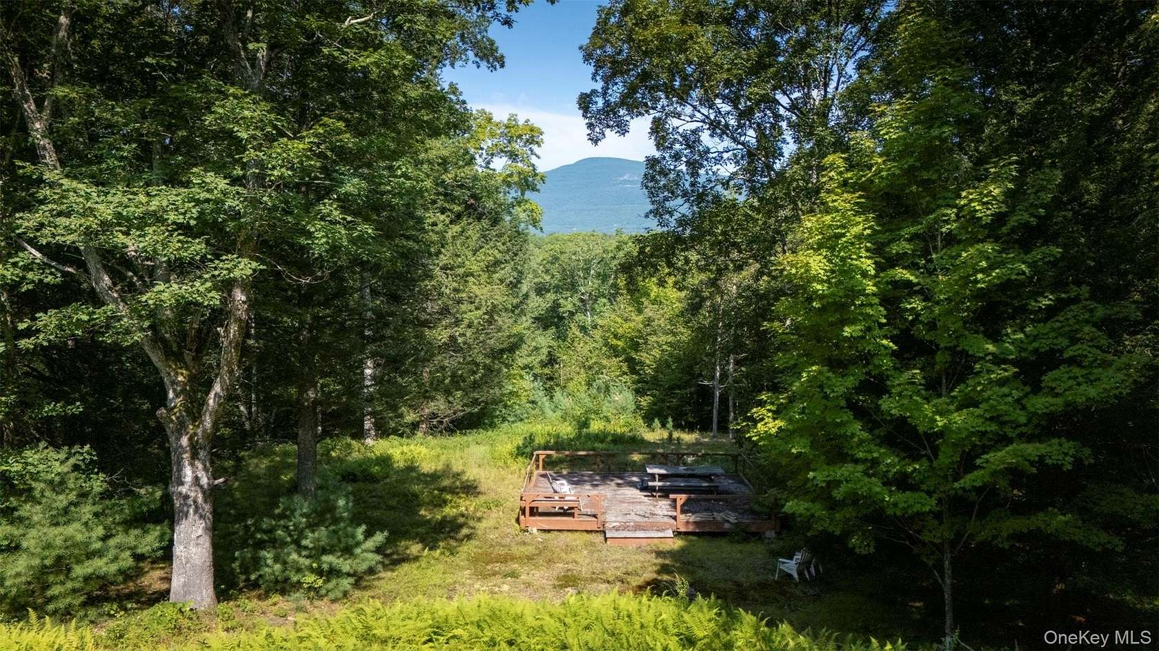 33.5 Acres of Recreational & Residential Land for Sale in Saugerties, New York