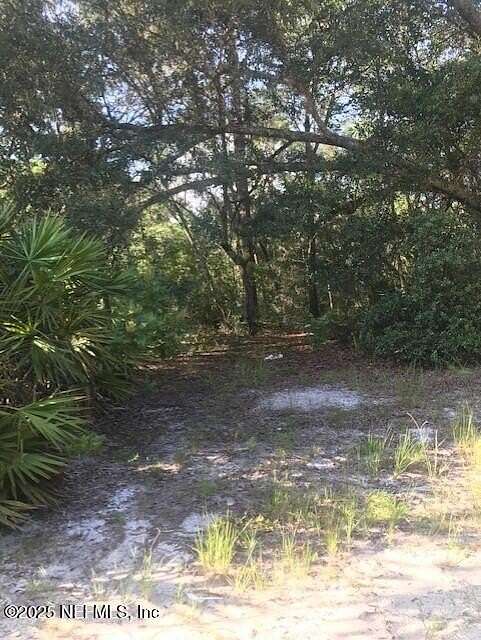 0.3 Acres of Residential Land for Sale in Hawthorne, Florida