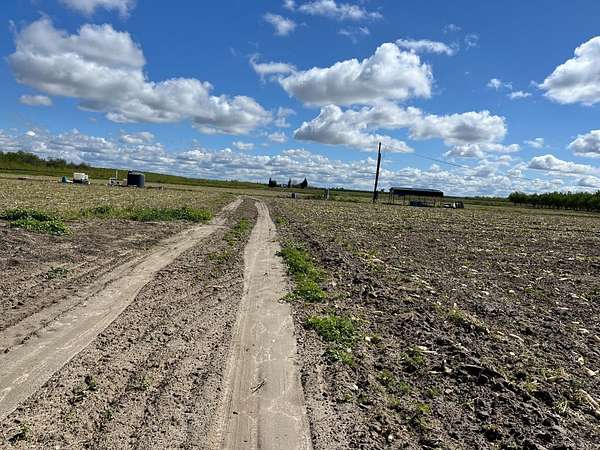 8.62 Acres of Residential Land with Home for Sale in Fresno, California