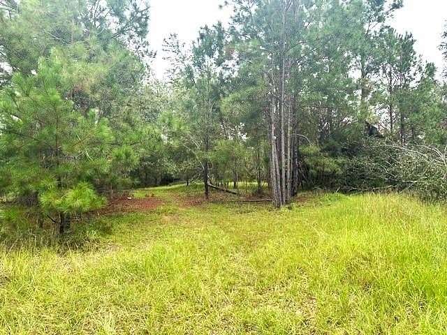 116 Acres of Recreational Land for Sale in Tarrytown, Georgia