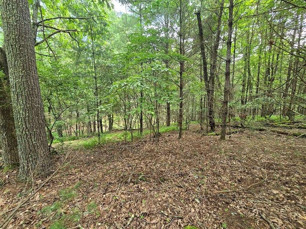 5.17 Acres of Residential Land for Sale in Independence, Virginia